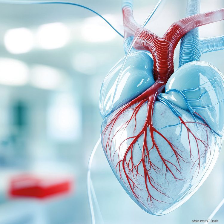 abstrakte 3D-Modelldarstellung Herz und Herzgefäße vor unscharfem Hintergrund
