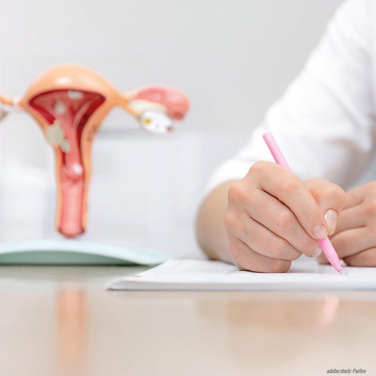 3D-Modell der weiblichen Gebärmutter, daneben der Ausschnitt einer schreibenden Person in weißer medizinischer Arbeitskleidung