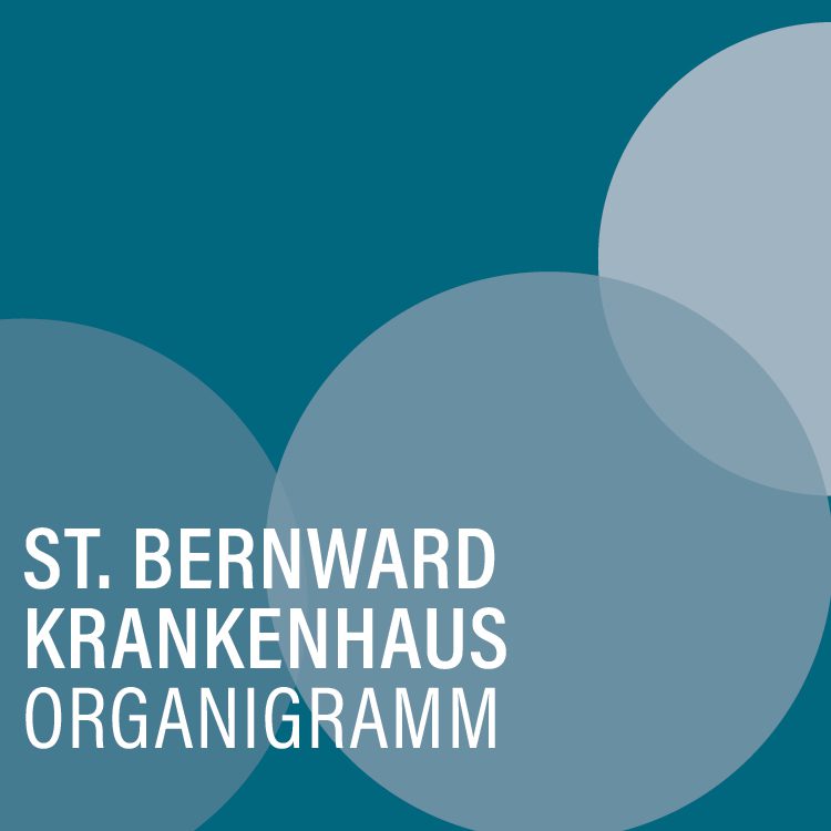 blaugraue Kreise mit der Aufschrift St. Bernward Krankenhaus Organigramm