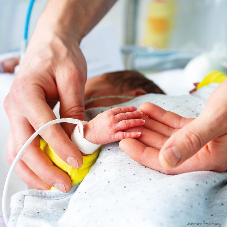 Zwei Hände halten die winzige Hand eines Frühgeborenen im Wärmebett, das Neugeborene ist an verschiedene medizinische Geräte angeschlossen
