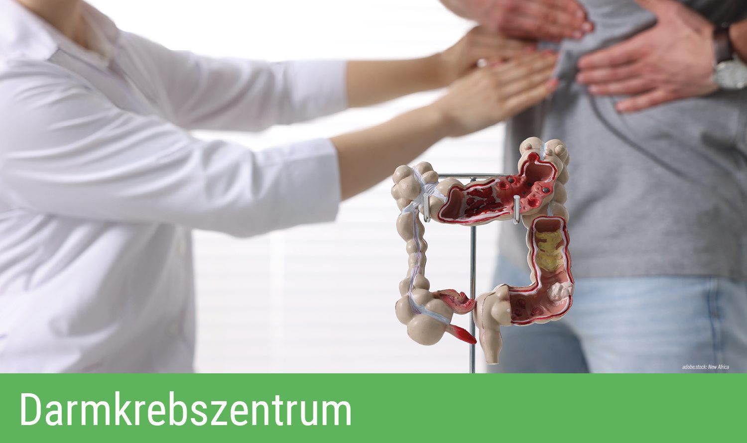Zwei Hände untersuchen den Bauchbereich eines Patienten, im Vordergrund ein 3D-Modell des menschlichen Darms. Grüner Balken am unteren Bildrand mit Aufschrift Darmkrebszentrum.